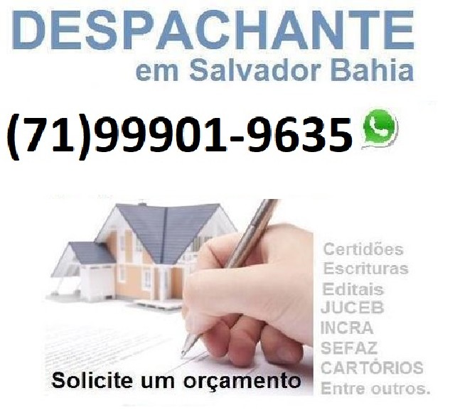 Foto 1 - Despachantes em Salvador Bahia